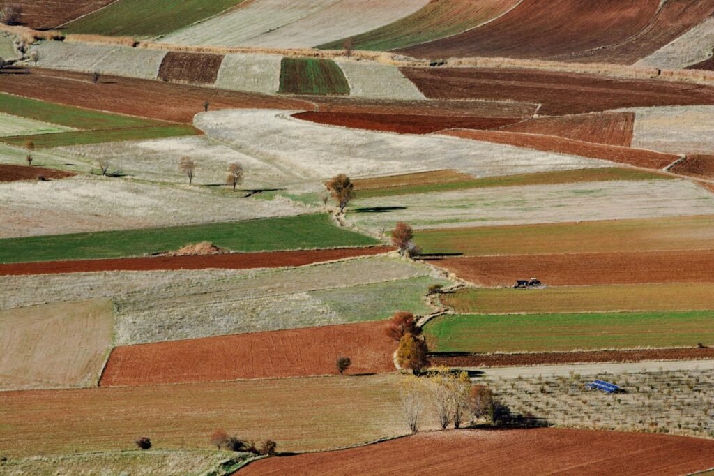 Adubo para floração
