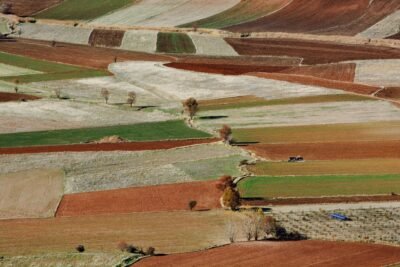 Adubo para floração