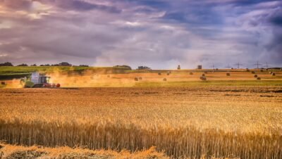 Adjuvante agrícola um pequeno investimento para um grande retorno